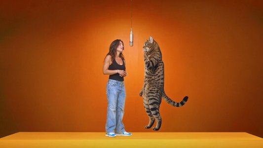 Human & Pet Duo